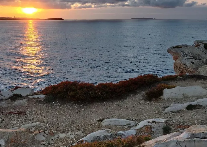 1 Minute From - Wood * Балеал